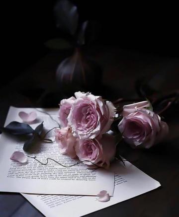 Hypatia On Photoshop Book Flowers Flower Wallpaper