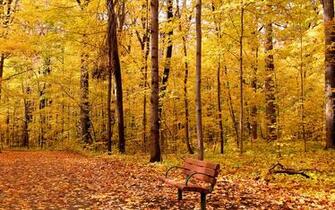 Autumn Wallpaper Beautiful HD