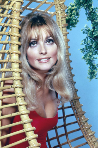 Top Sharon Tate Wallpaper Full HD 4k To Use