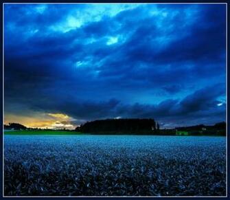 Pictures Of Nature Amazing Wallpaper