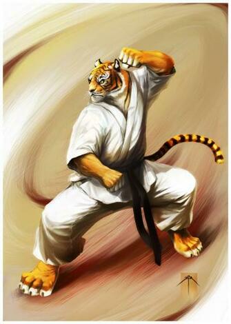 Shotokan By Mgnz