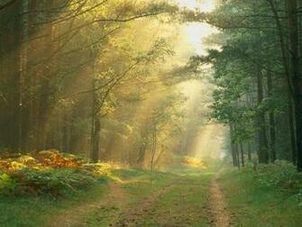 Germany Sun Rays Widescreen Wallpaper