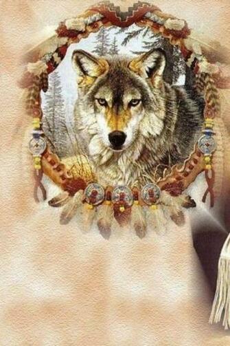 Wolf In Dream Catcher A Forgotten People Wallpaper