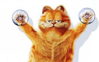 Pics Photos Wallpaper Funny Garfield