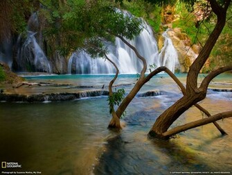 Unique Wallpaper Most Famous National Geographic HD