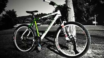 Best Bmx Cycle Wallpaper Full HD High Resolution