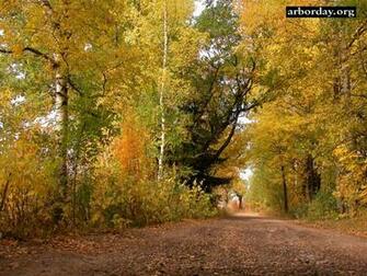 Country Lanes Wallpaper And Screensavers From Arborday Org