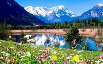 Desktop Wallpaper Spring Scenes