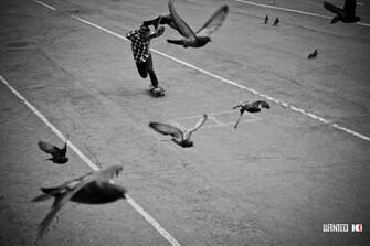 Adidas Skateboarding Wallpaper Skateboard