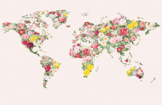 World Map Aesthetic Wallpaper