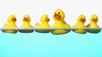 Rubber Ducks Wallpaper Wallpoper