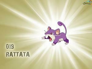 Rattata Wallpaper Normal Type Pok Mon To