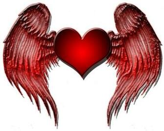 To Choose From Wings Heart And One Of My Favorite Quotes