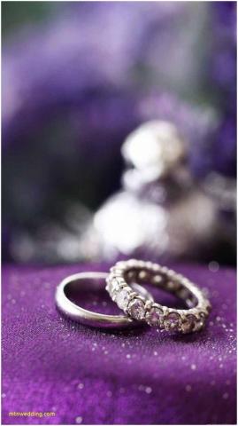 Beautiful Single Solitaire Engagement Ring Rings