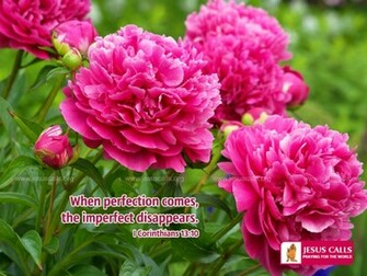 Right Click On This Image And Select Set As W Allpaper Or