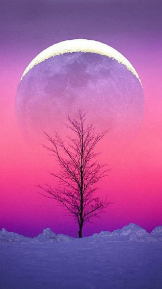 The Best Aesthetic At Pedro Michael Wallpaper