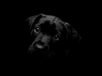 Black Wallpaper HD Lab