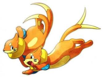 Buizel Pok Mon Wallpaper Zerochan Anime Image Board