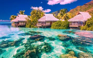 Wallpaper Tropical Landscape Palm Trees Houses Sea Beach