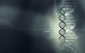 HD Random Background Net Cv Medical Wallpaper