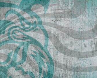 Coastal Carolina University Wallpaper S