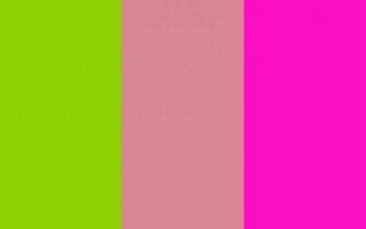 Sheen Green Shimmering Blush And Shocking Pink Three Color Pictures