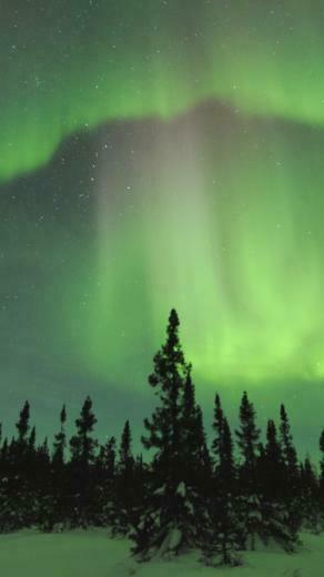 Aurora Borealis Manitoba Canada Wallpaper Imgprix