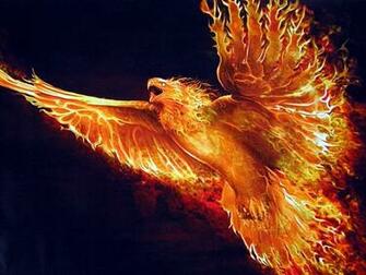 Phoenix Bird HD Wallpaper Hivewallpaper