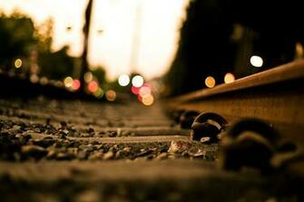 Hipster Wallpaper