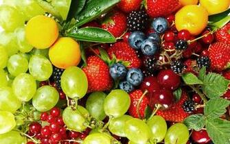 Met Veel Verschillende Soorten Fruit HD Wallpaper Foto