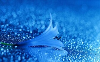 Pretty Blue Wallpaper Which Is Under The