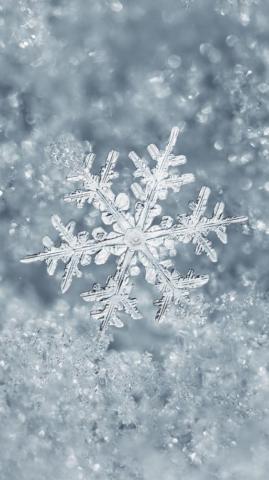 Ice Snowflake iPhone Plus Wallpaper Winter