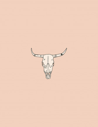 Bull Skull Wallpaper