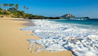 Makapuu Beach Oahu Hawaii Pacific Ocean Wallpaper