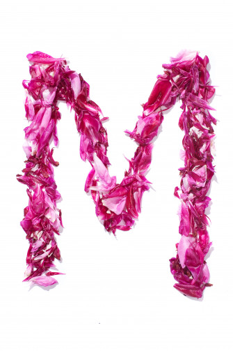 File Flower Alphabet M Jpg