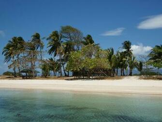 Wallpaper Photo Tropical Html