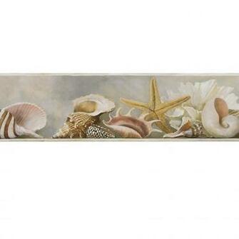 Shells Wallpaper Border Multi Earth