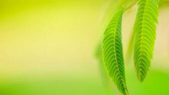 Windows Rtm HD Wallpaper