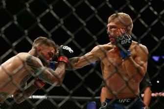 Ufc Video Highlights Tj Dillashaw Survives Knockdown Tko S