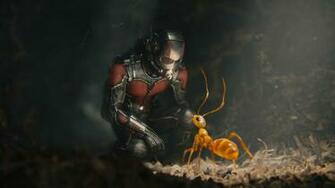 Ant Man Wallpaper Background