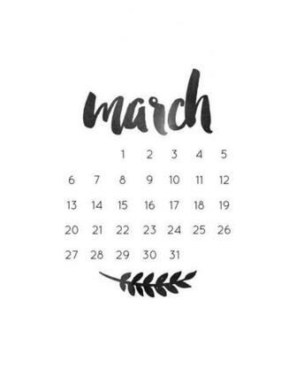 Monthly Bie March Bullet And Wallpaper