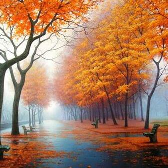 Ing Gallery For iPhone Wallpaper Fall iPad