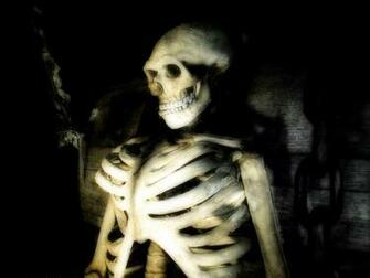 Skeleton Wallpaper Background For Desktops Funny Doblelol