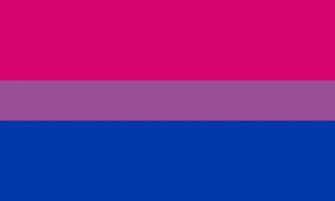 File Bisexual Pride Flag Svg Wikipedia