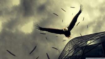 Bald Eagle Flying Wallpaper