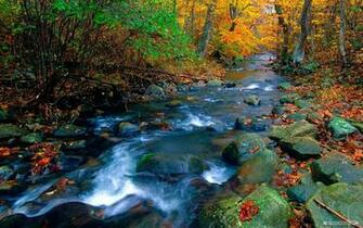 Nature Wallpaper Natural Scenery
