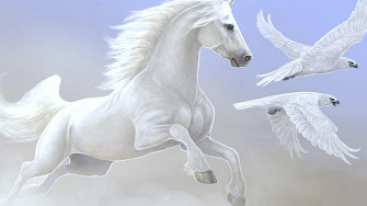 White Horse Wallpaper