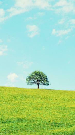 Vivid Spring iPhone 5s Wallpaper iPad