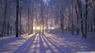 Winter Is Coming Wallpaper