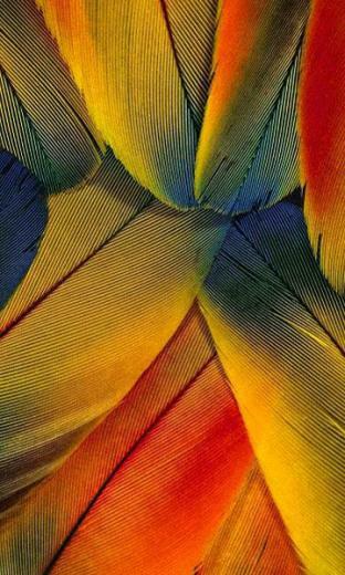 Collection Of HD Wallpaper For Lumia Photos Full